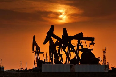 Petroleum and Gas